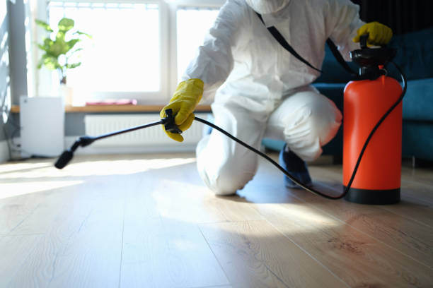 Reliable Hoarding Cleanup contractor in Sparta, IL by Dulley Family Biohazard Services